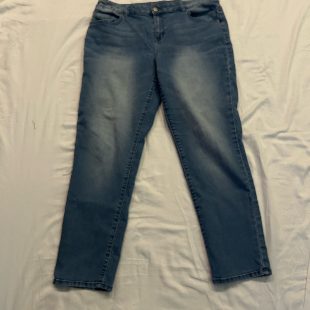 Women's Platinum Ankle Blue Jeans - EUC